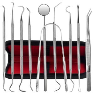 Dental Kit Tools, 10 Pack Stainless Steel Plaque Remover, Dental Tools to Remove Plaque and Tartar, Oral Care Kit with Plaque Cleaner, Tartar Pick, Tooth & Tongue Scraper for Dentist, Personal, Family