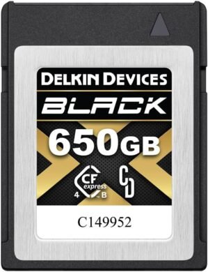 Delkin Devices Black 650GB CFexpress 4.0 Type B Memory Card with pSLC Flash, up to 3530MB/s Read for Professional Video and Photography