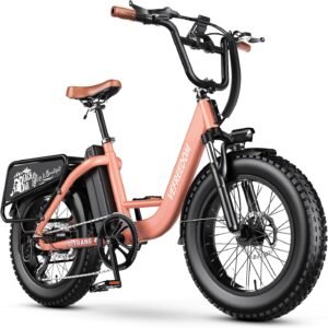 1500W Peak Electric Bike for Adults, 48V 20Ah Removable Battery Max Range 70Miles & 30MPH Electric Bicycle, 20”×4.0″ Fat Tire Ebike,Fast Cargo Ebikes,Commute Mountain E-Bike UL Certified